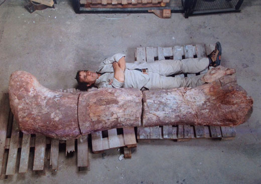 biggestdinosau1